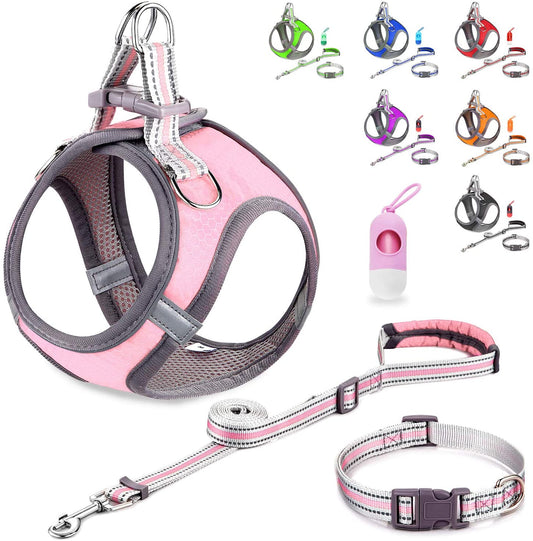 Small Dog Harness,Puppy Harness,Adjustable Leash and Collar Set for Small Dogs,Step-In Dog Harness,3M Reflective Pet Dog Vest for Small Medium Puppy